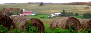 Lazy Hay Day